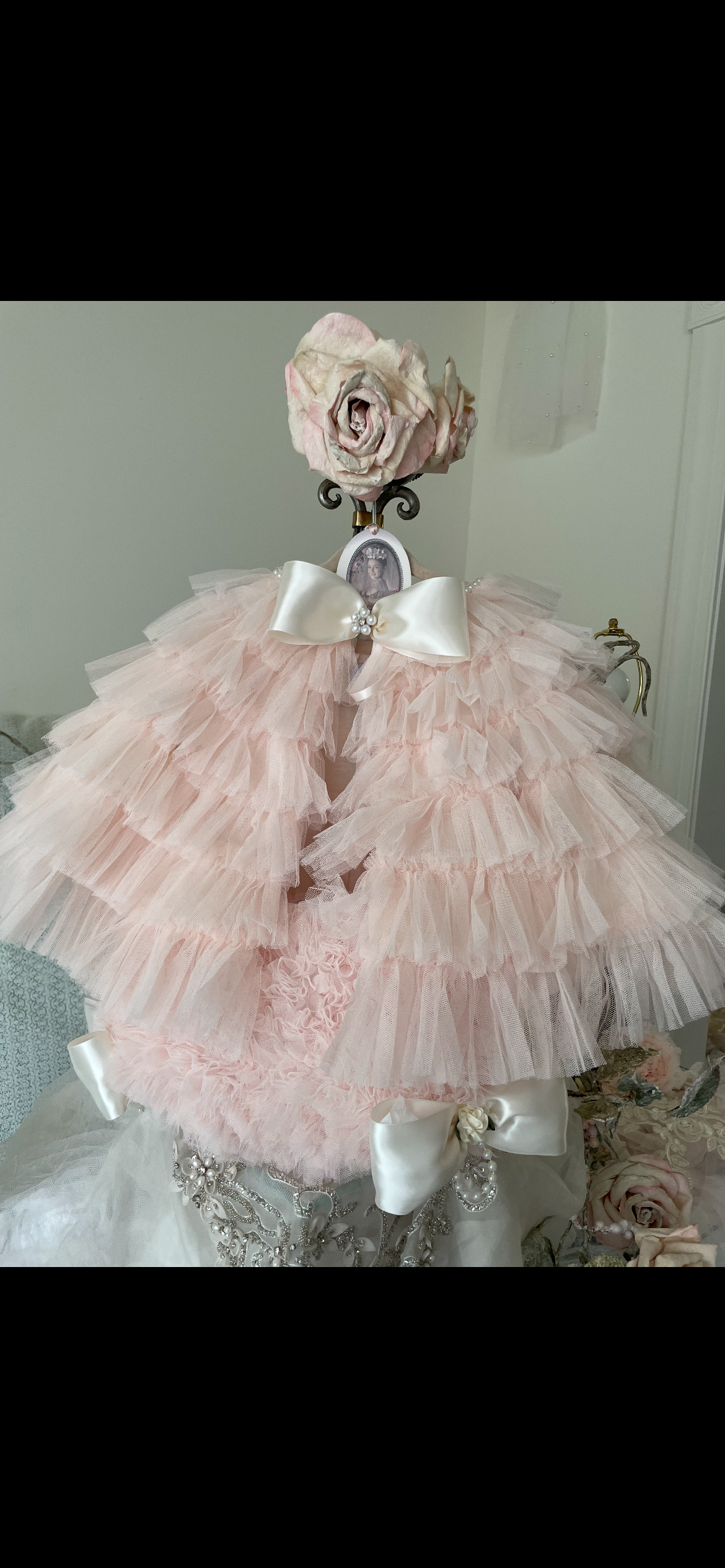 🎀 Fancy Pink Frosty – Holiday Edition