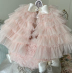 🎀 Fancy Pink Frosty – Holiday Edition