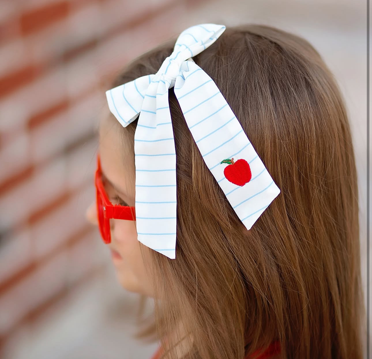 Notebook Stripe Apple Bow