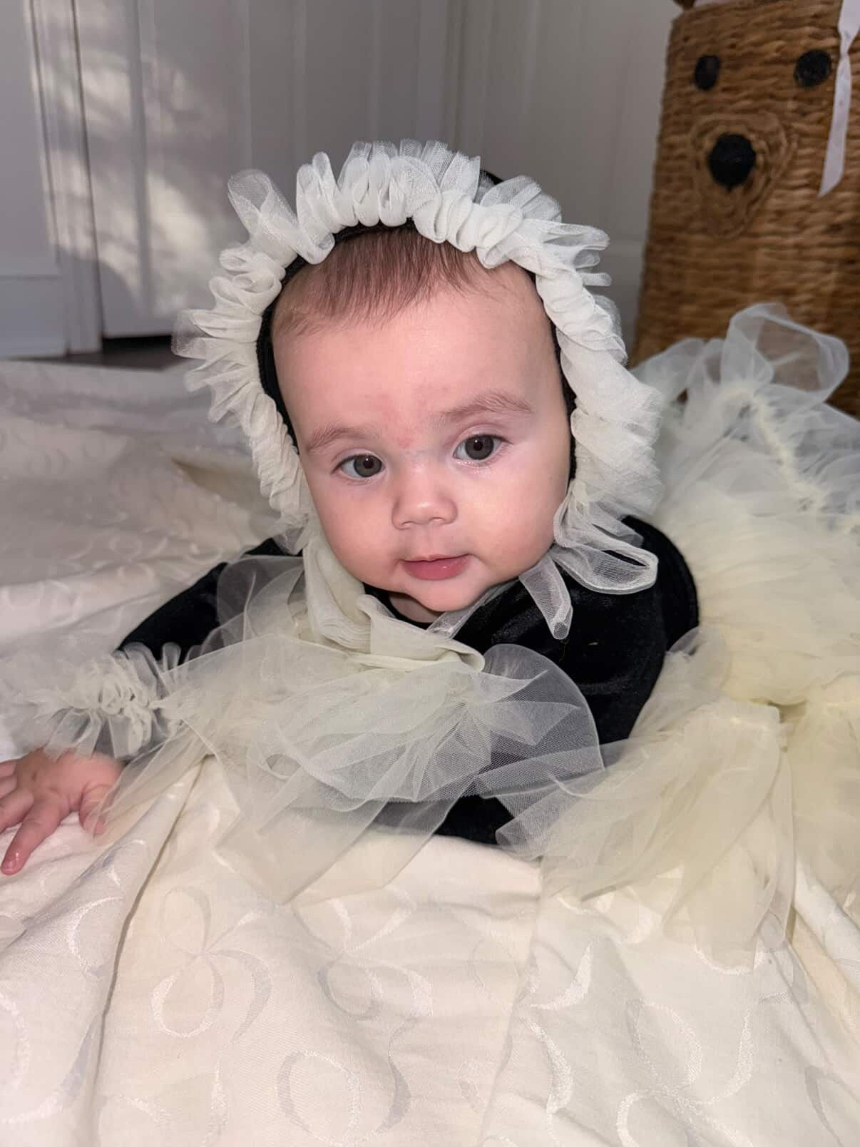 ✨ Darling in Ink & Ivory ✨