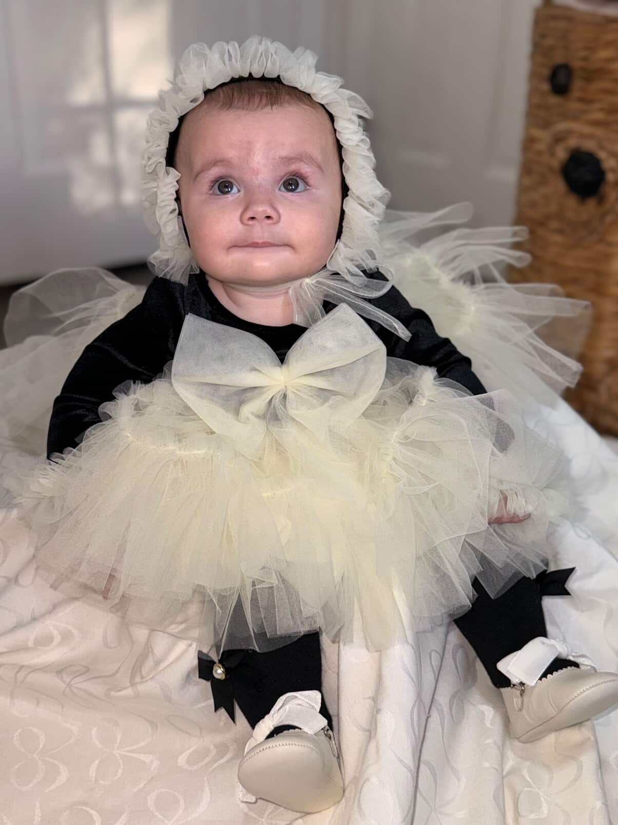 ✨ Darling in Ink & Ivory ✨