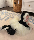 ✨ Darling in Ink & Ivory ✨