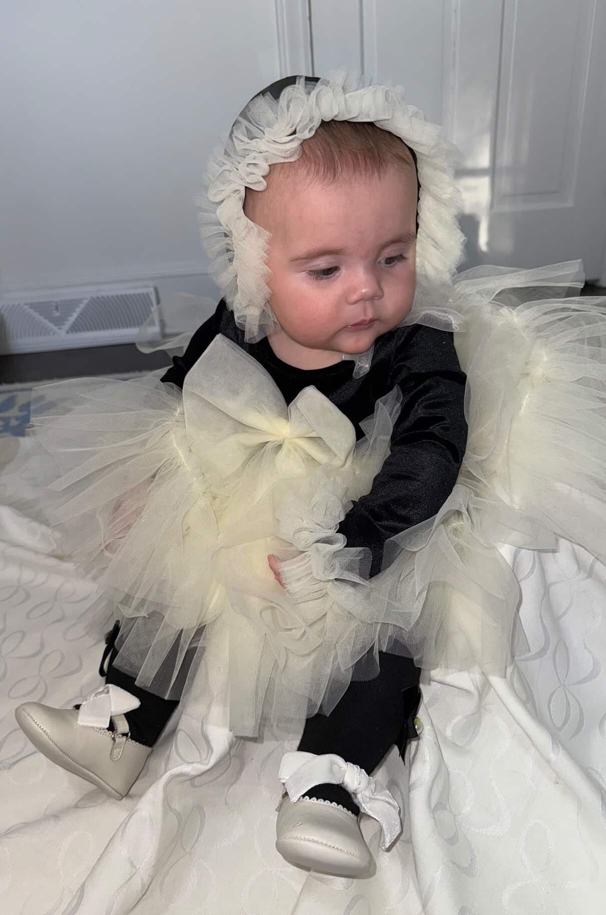 ✨ Darling in Ink & Ivory ✨