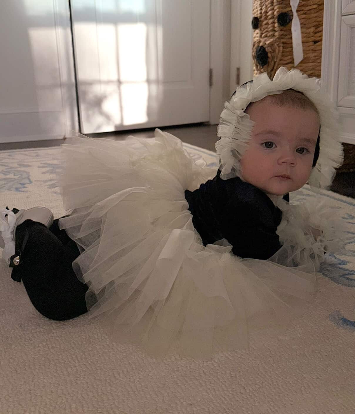 ✨ Darling in Ink & Ivory ✨