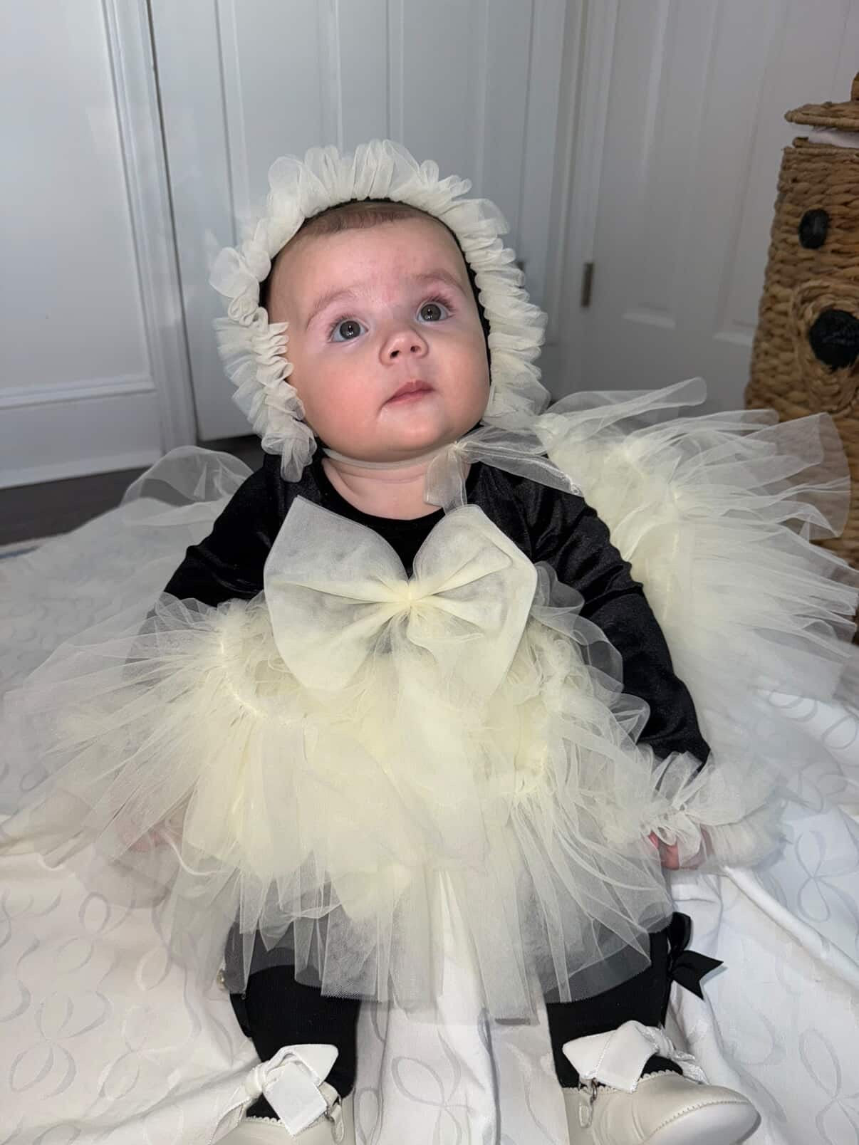 ✨ Darling in Ink & Ivory ✨